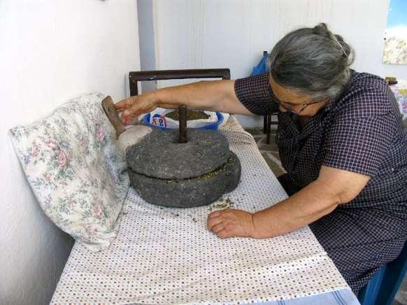 FLORA AMORGINA 163 σπασμένου κατσουνιού γίνεται με τον «τουμπανά», που έχει το σχήμα του κόσκινου και δερμάτινη βάση.