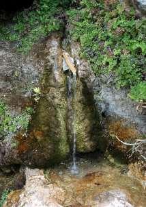 FLORA AMORGINA 19 ενώ οι μπάρτσες μπορούν να μπουν από την είσοδο που βρίσκεται στα δυτικά. Το λιμάνι λέγεται Πόρτο Μάρκο (Porto Marqo).