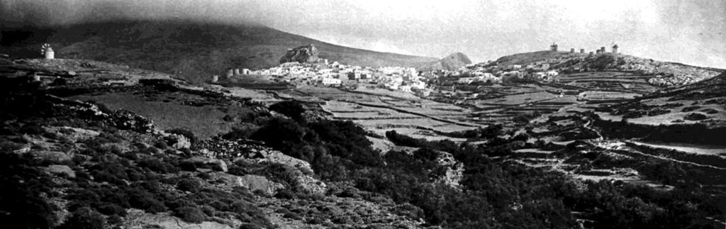 FLORA AMORGINA 21 τριακών καρπών, ετησίως. Η παραγωγή της Αμοργού περιλαμβάνει επίσης βαμβάκι, μετάξι και σύκα, που όμως δεν εξάγονται.