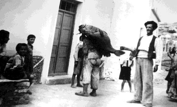 FLORA AMORGINA 25 ντας στον ήλιο κατσίκια, ώστε να έχουν κρέας όλο τον χρόνο. Εξέτρεφαν και χοίρους, κοντά αλλά και μέσα στους οικισμούς.
