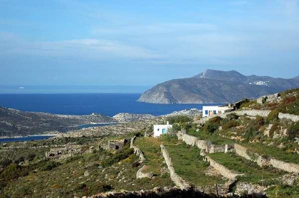 FLORA AMORGINA 31 Το μινόρι της Αγίας Θέκλας, που εξακολουθεί να κατοικείται, αποτελεί ένα τυπικό δείγμα οικογενειακού αγροτικού οικισμού, με τα σπίτια, τις βοηθητικές εγκαταστάσεις, τα χωράφια με