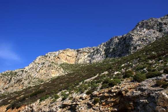 FLORA AMORGINA 34 Η Βιότοποι και ενδημισμός ανθρώπινη παρουσία στην Αμοργό επί τουλάχιστον 5.000 χρόνια είναι έντονη, όπως είδαμε συνοπτικά στις προηγούμενες σελίδες.
