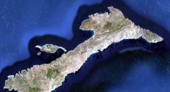 FLORA AMORGINA 42 Adonis microcarpa από την χλωρίδα της Νικουριάς στική ευκολία ο «Σκοπελίτης», το θρυλικό πλοίο της Αμοργού και των νησιών. Είναι η μεγαλύτερη νησίδα (έκτασης 2,7 τετρ.