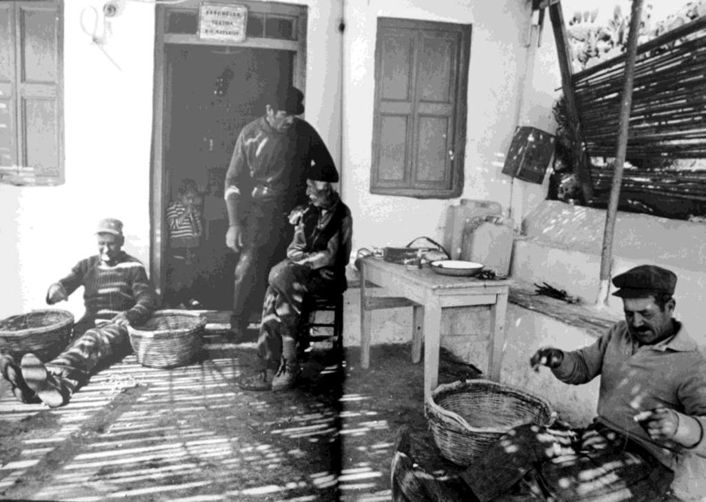 FLORA AMORGINA 53 Δονούσα 1978 σε φωτογραφία του Hans Madey