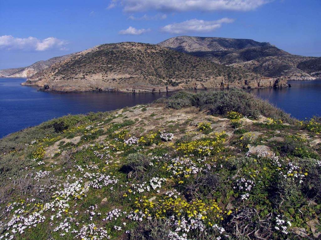 FLORA AMORGINA 59 Ανοιξη στη νησίδα Μεγάλος