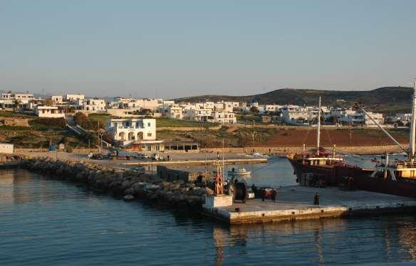 FLORA AMORGINA 62 Τα Κουφονήσια Iris mediterranea από την χλωρίδα των Κουφονησιών Τ ο βορινό νησί που βλέπουμε απέναντι από τα Κατάπολα είναι το Επάνω Κουφονήσι, που είναι κατοικημένο κι έχει έκταση