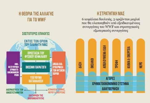ΑΝΑΛΑΜΒΑΝΟΝΤΑΣ ΔΥΝΑΜΙΚΑ ΣΥΛΛΟΓΙΚΗ ΔΡΑΣΗ Για να πετύχουμε τη μεγαλύτερη θετική αλλαγή για τον πλανήτη μας, το WWF έχει ξεκινήσει μια διαδικασία εσωτερικού μετασχηματισμού, θέτοντας σε εφαρμογή μία