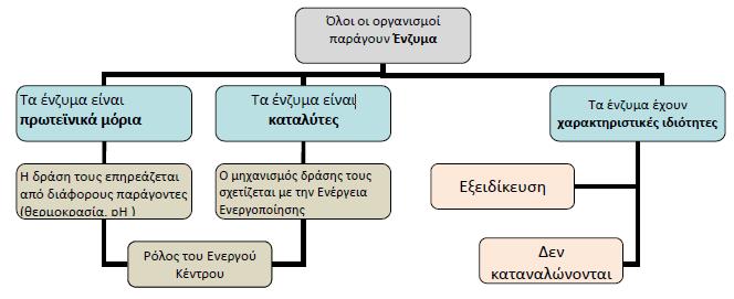 Α. Θα πρέπει να γνωρίζετε με το τέλος του μαθήματος 1 Α ΜΕΡΟΣ (1 Η ΔΙΔΑΚΤΙΚΗ ΩΡΑ) Δραστηριότητα 1. Εισαγωγικές Ερωτήσεις _Έννοιες Που υπάρχουν ένζυμα; Γράψτε δυο τρεις περιπτώσεις ΒΗΜΑ 1.