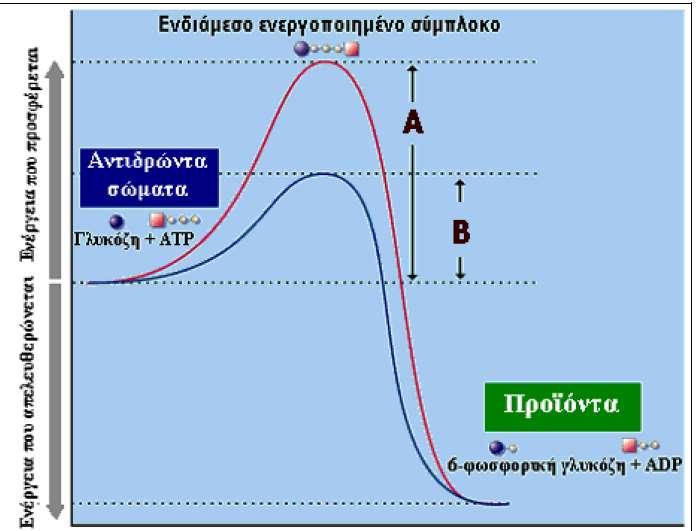 8 α) -- ----- β) Να γράψετε 4 χαρακτηριστικά των ενζύμων Β.