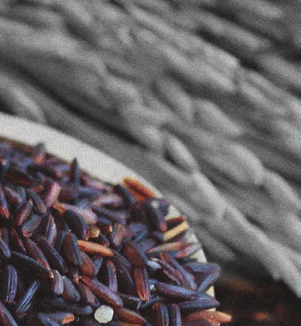 Μαύρο Ρύζι Black Rice inside out Κάθε πιάτο περιλαμβάνει 8 λαχταριστά τεμάχια maki sushi με μαύρο ρύζι. Each dish includes 8 mouthwatering pieces of black rice maki sushi.