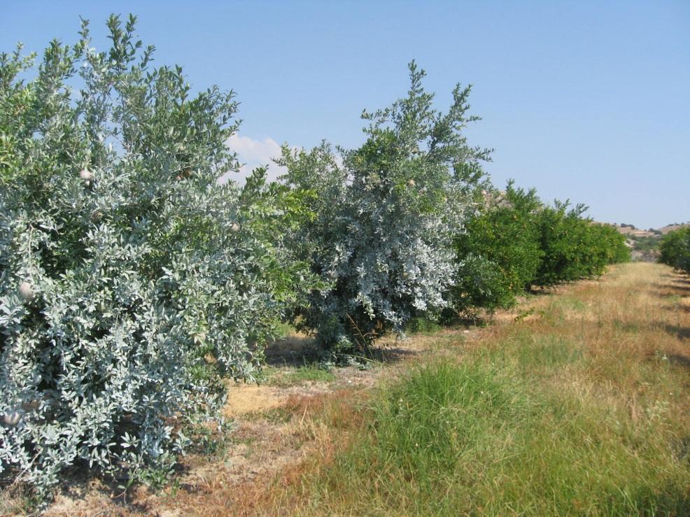 3. Εφαρμογή