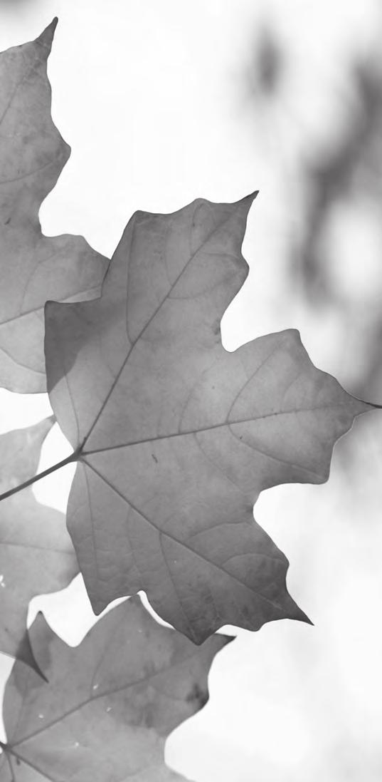 54. Jahrgang Freitag, 9. November 2018 Nummer 45 Herzliche Einladung zum Herbstkonzert Wir freuen uns sehr, dass wir Sie auch in diesem Jahr zu unserem Herbstkonzert am Samstag, den 10.