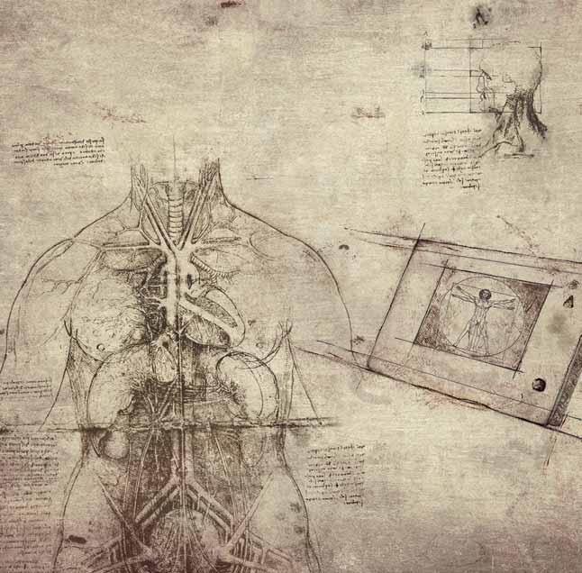 LEONARDO Universal and ingenious