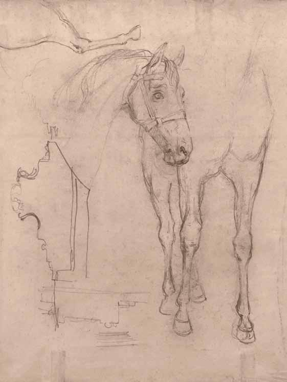 paul frankeni. cxenebi. qaraldi, fanqari. zoma: 22X27 sm.