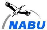 regarding the problem Report put together by Markos