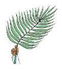Palm Sunday Luncheon Sunday, April 21, 2019 Following the Divine Liturgy MENU Adult - $15.