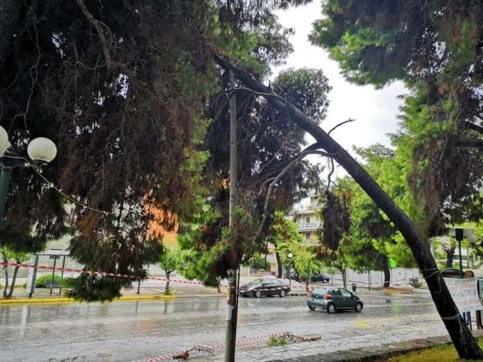 ΑΝΑΔΗΜΟΣΙΕΥΣΗ ΣΥΝΕΝΤΕΥΞΗΣ ΤΟΥ ΔΑΣONOMOY κ. ΠΑΡΙΣΙΝΟΥ ΣΤΟ ΕΙΔΗΣΕΟΓΡΑΦΙΚΟ SITE Χαϊδάρι Σήμερα» ΣΤΟ ΔΗΜΟΣΙΟΓΡΑΦΟ ΜΕΝΕΛΑΟ ΧΡΟΝΗ ΉΡΩΕΣ ΤΑ ΠΕΥΚΑ ΤΗΣ ΚΑΡΑΪΣΚΑΚΗ ΠΟΥ ΣΤΕΚΟΥΝ ΑΚΟΜΗ ΟΡΘΙΑ!