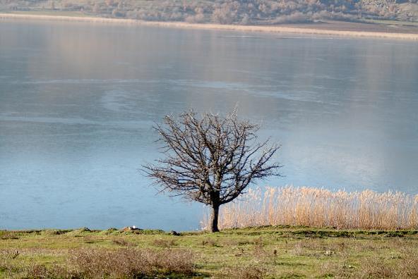 44 Εικόνα 8: Άποψη της λίμνης Ζάζαρης Πηγή: http://www.amyntaio.gr/fysiko-perivallon/perivallon 4.