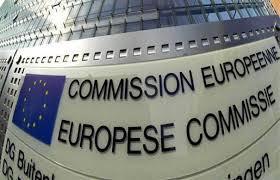 Αρμοδιότητες Ευρωπαϊκού Εποπτικές Ασκεί δημοκρατικό έλεγχο σε όλα τα όργανα της Ε.Ε. Εκλέγει τον πρόεδρο της Επιτροπής και εγκρίνει την Επιτροπή ως σώμα.