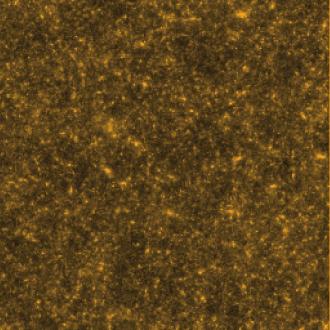 PM Simulations Simulating mass distribution is a routine exercise Convergence Shear 6
