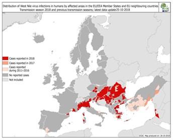 του ιού του κίτρινου πυρετού. Σύμφωνα με τον ΠΟΥ δεν υπάρχουν περιορισμοί σε σχέση με το εμπόριο ή τα ταξίδια.