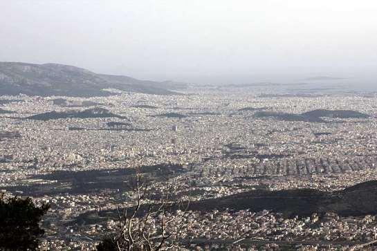 ΕΝΔΗΜΙΚΑ ΦΥΤΑ ΤΗΣ ΑΤΤΙΚΗΣ 13 Εποχής. Απέραντα δάση πεύκων στα χαμηλά, βελανιδιές (δρύες, αριές) στις πλαγιές και τους λόφους και έλατα στην ορεινή ζώνη κάλυπταν το τοπίο.