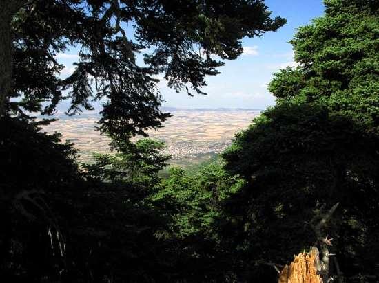 Υψώνεται απότομα από την θάλασσα και το ίδιο απότομα πέφτει προς την Βοιωτία. Προέκτασή του αποτελεί η Πάστρα (1.025 μ.