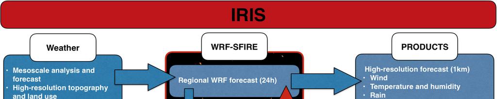 IRIS RapId-Response