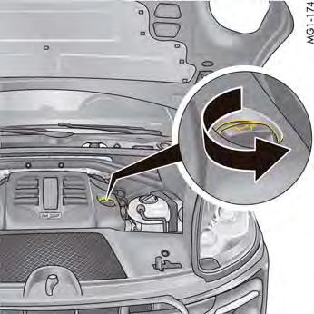 0W-30 1) SAE 5W-30 1) 41: Macan TurboMacan