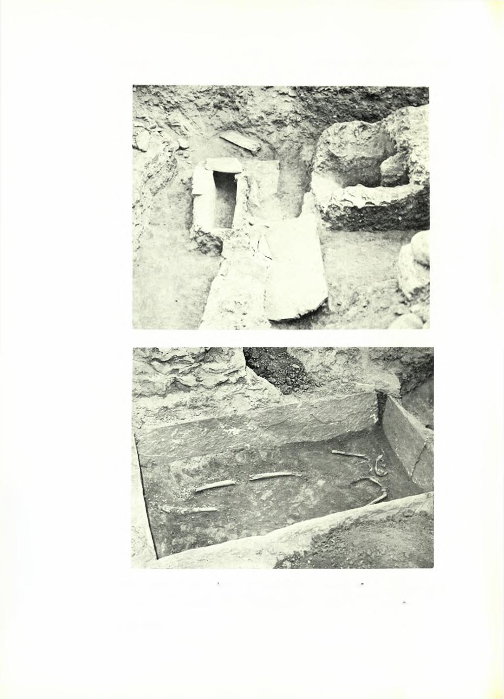 ΠΙΝΑΞ 76 ΑΡΧΑΙΟΛΟΓΙΚΟΝ ΔΕΛΤΙΟΝ 19 (1964) Σπάρτη: α. Είκών τοϋ χώρου από Β.