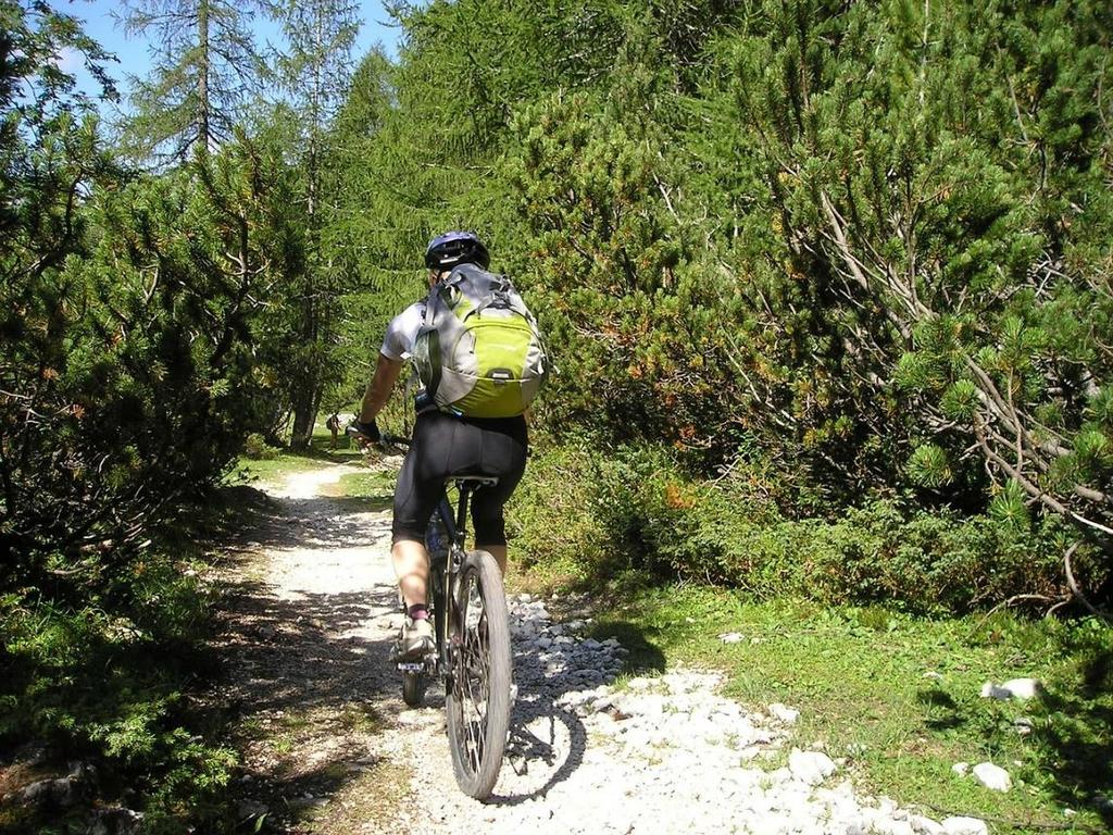 Άλλες μορφές εναλλακτικού τουρισμού στη Ναυπακτία Υπάρχει η δυνατότητα να κάνετε πεζοπορία, ποδήλατο βουνού και ορειβασία σε εύκολες ή δύσκολες διαδρομές.