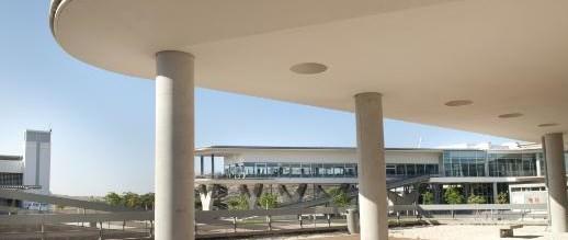 ΠΤΥΧΙΟ ΠΟΛΙΤΙΚΗΣ ΕΠΙΣΤΗΜΗΣ ΚΑΤΑΝΟΜΗ ΚΑΤΑ ΕΞΑΜΗΝΟ ΕΤΟΣ / ΕΞΑΜΗΝΟ ECTS ΕΤΟΣ / ΕΞΑΜΗΝΟ ECTS 1ο / 1ο 29 ΚΠΕ 151 Εισαγωγή στην Πολιτική Επιστήμη 6 ΚΠΕ 152 Συγκριτική Πολιτική 6 ΚΠΕ 153 Διεθνείς Σχέσεις 6