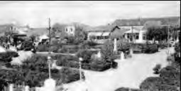 1955. Το πάρκο με τα δεντράκια να έχουν μεγαλώσει, ο φυσικός φράχτης και τα μικρά φυτά να φιλοτεχνούν
