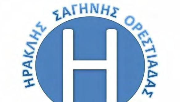 ομάδα, ωστόσο, εξακολουθεί να διαθέτει παιδική ακαδημία με αρκετά τμήματα και έχει συνεργασία με την ομάδα του Ηρακλή Θεσσαλονίκης.