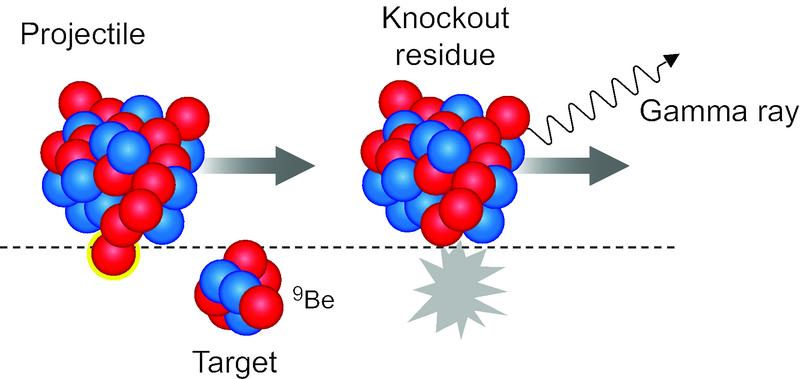 Μεταφοράς (Transfer Reactions)