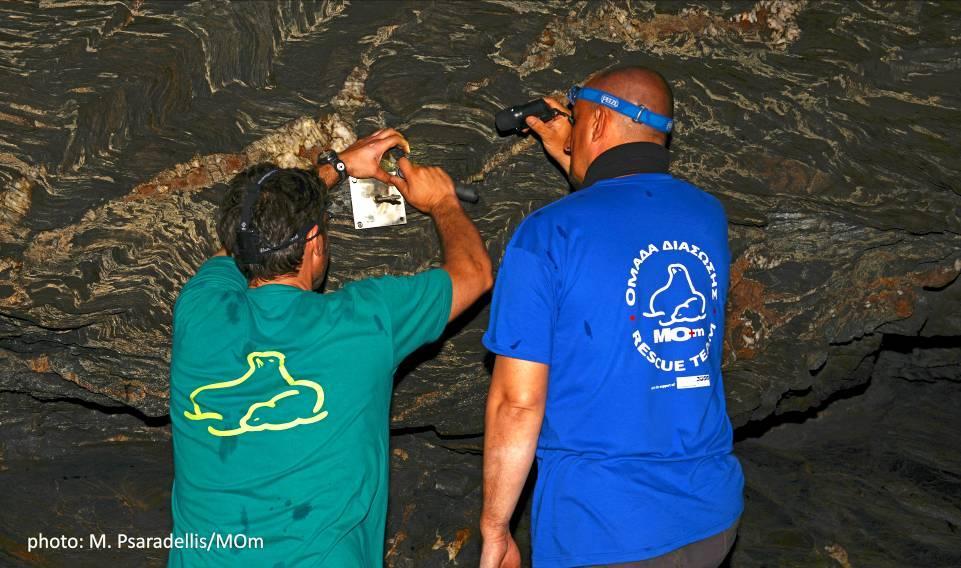 ΜΕΘΟΔΟΛΟΓΙΑ Η μεθοδολογία παρακολούθησης της μεσογειακής φώκιας στη Γυάρο βασίστηκε στη λειτουργία του Δικτύου Διάσωσης και Συλλογής Πληροφοριών που παρέχει πληροφορίες για την παρουσία του είδους,