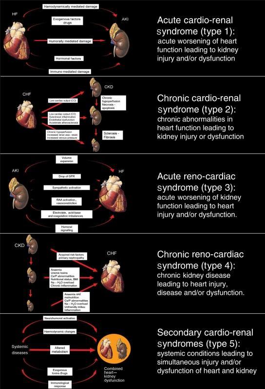 Καρδιονεφρικό σύνδρομο Πηγή: Ronco et al.