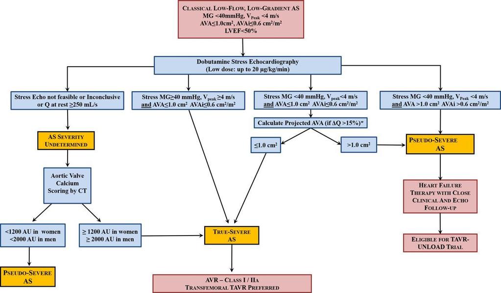 Σχήμα 1 J Am Heart Assoc. 2019 Mar 19;8(6):e012212. doi: 10.1161/JAHA.119.