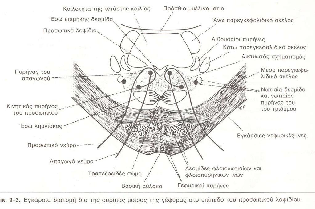 Γέφυρα