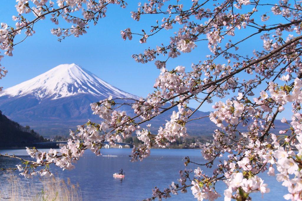 Όταν φτάνει η Άνοιξη, η Ιαπωνία αλλάζει κεφάλαιο και αφιερώνει μερικές μέρες στην εκδήλωση της λατρείας της στα άνθη, με την τελετή Hanami (σ.σ. hana σημαίνει «λουλούδι» στα ιαπωνικά).