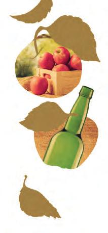 com Ver catálogo de Espumosos para capacidades de 75 cl Clase logística otellín 20 184,4 52,1 145 5.445 TO otellín 25 175 5, 10 4.452 TO Steinie 33 1 255 2.40 TO Paris 33 17,4 78,1 30 1.