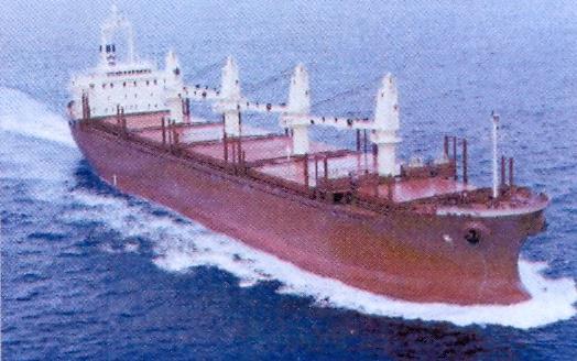 Πλοία μεταφοράς φορτίων ΧΥΔΗΝ (bulkcarrier ships) 1/2 Η κατηγορία αυτών των πλοίων περιλαμβάνει πλοία που έχουν τη δυνατότητα να μεταφέρουν ξηρά κυρίως φορτία χύδην (χύμα) όπως σιτηρά, μεταλλεύματα,