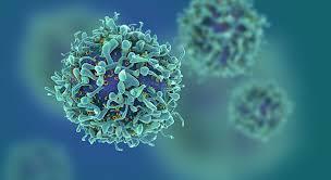 που έχουν περιγραφεί πρόσφατα PV B19,HSV,Retrovirus