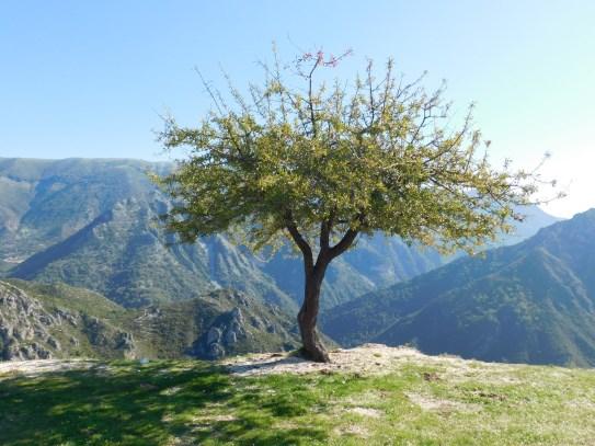 Καλαμά. Η λιμνοθάλασσα έχει έκταση 3.