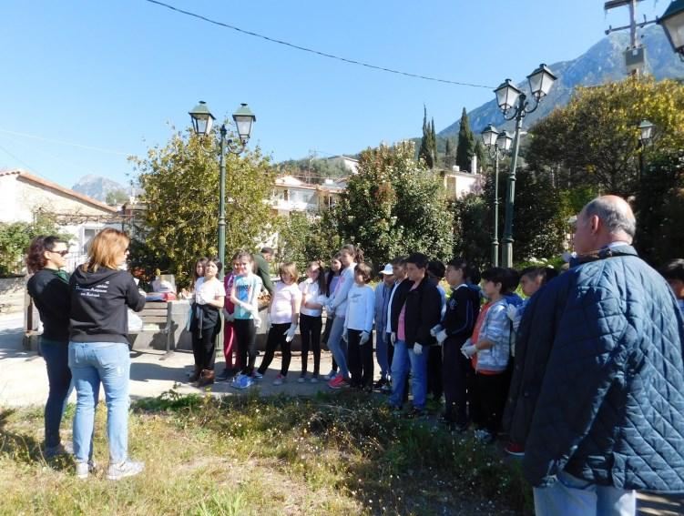 χελιδονιών,καθώς επίσης να ασχοληθούν με διάφορες χειροτεχνίες