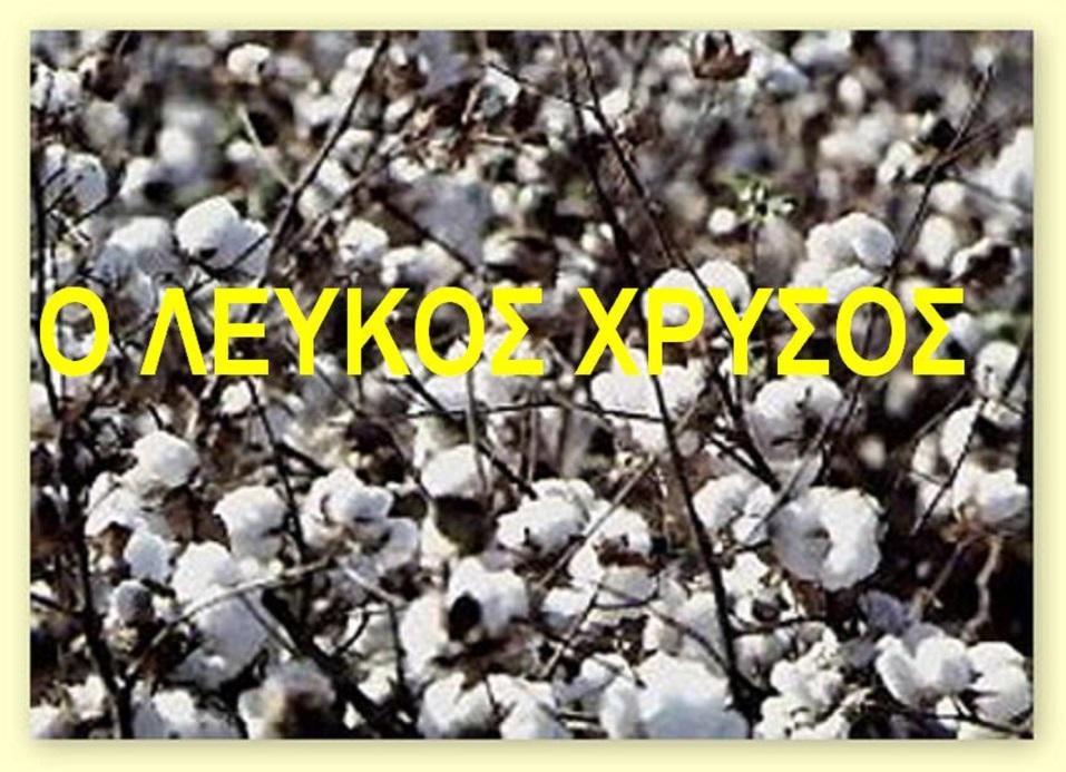 Εκτός από την βαμβακοκαλλιέργεια και το εμπόριο, η οικονομική λειτουργία των Ελλήνων αναπτύχθηκε και στους τομείς των τραπεζικών και χρηματιστικών εργασιών, της ποτάμιας ναυσιπλοΐας και, σε μικρότερο