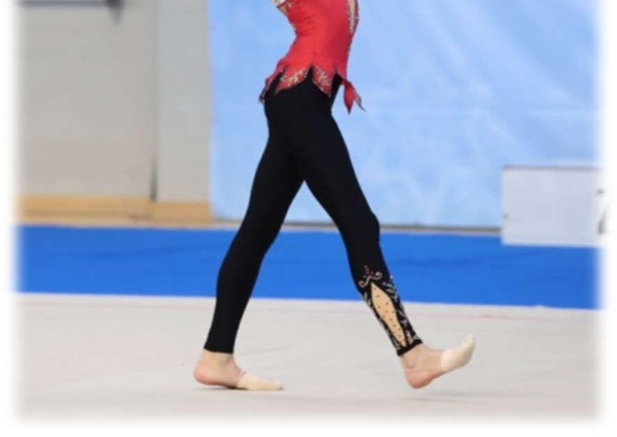 διεθνή αγώνα WINTER CUP SOFIA 2018 3 η στη μπάλα 6 η στο στεφάνι 7 η στο σύνθετο ατομικό 8 η στις κορίνες στο διεθνή αγώνα IRINI