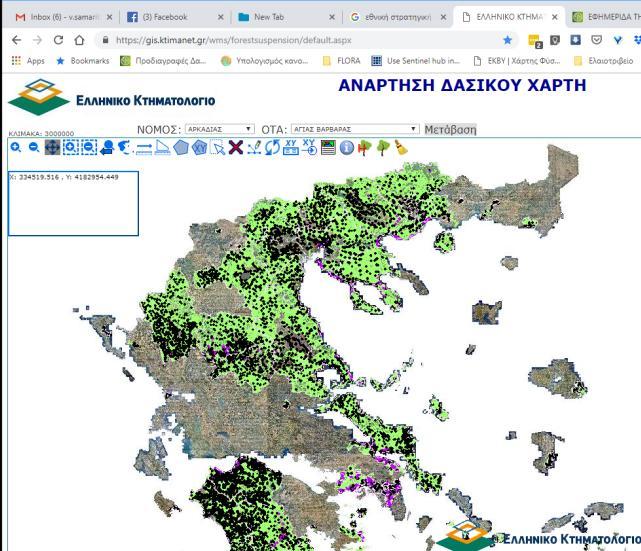 Δάση Ανάπτυξη και υιοθέτηση του