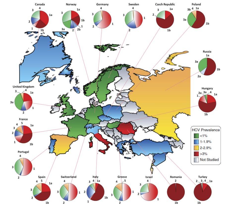 Global burden of HCV: Europe and