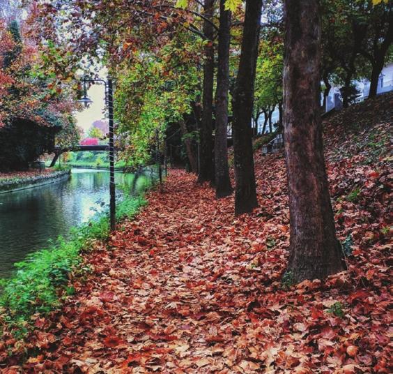 ΘΕΜΑ: «ύγχρονο Κούφωμα-Ποιότητα και Λειτουργικότητα.
